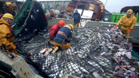 В России изменят правила определения границ рыболовных участков